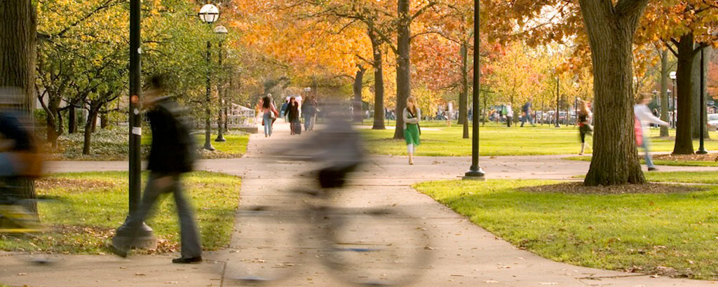 Trick or Treats as We Move Into Late Fall? Perhaps a Bit of Both.