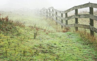 How to Set Boundaries