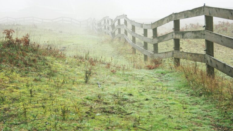 How to Set Boundaries